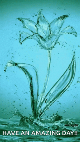 Water Flower GIF