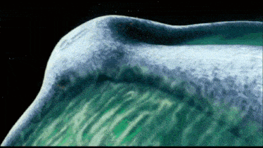a painting of a whale 's mouth with a green background