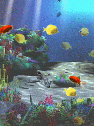 Aquarium Fish GIF - Aquarium Fish Under The Sea GIFs