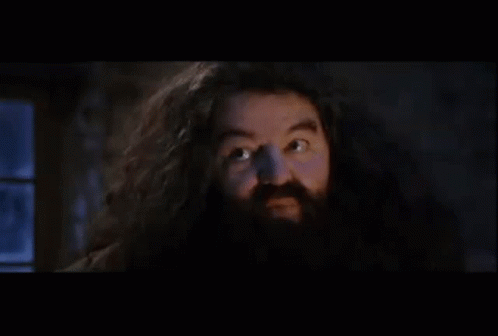 Harry Potter Hagrid GIF - Harry Potter Hagrid Youre A Wizard Harry GIFs