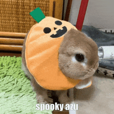 a rabbit is wearing a pumpkin costume and the caption spooky azu is below it