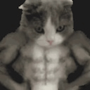 Gato Michi GIF - Gato Michi Cats GIFs