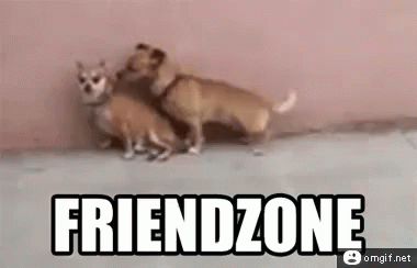 Friendzone GIF - Friendzone Dog Dogs GIFs