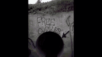 a cartoon character is standing in front of a wall with graffiti on it that says `` free cuties '' .