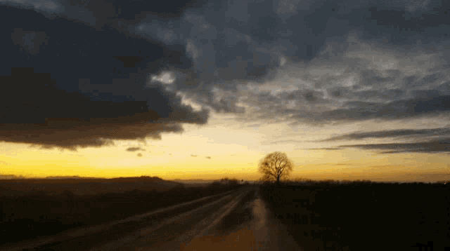 a tree is silhouetted against a cloudy sunset sky