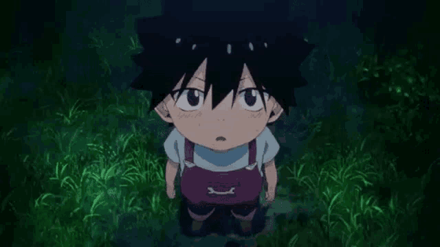 a little boy in overalls is standing in the grass looking up at the sky .