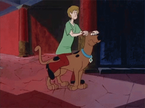 Dogs Scooby GIF - Dogs Scooby GIFs