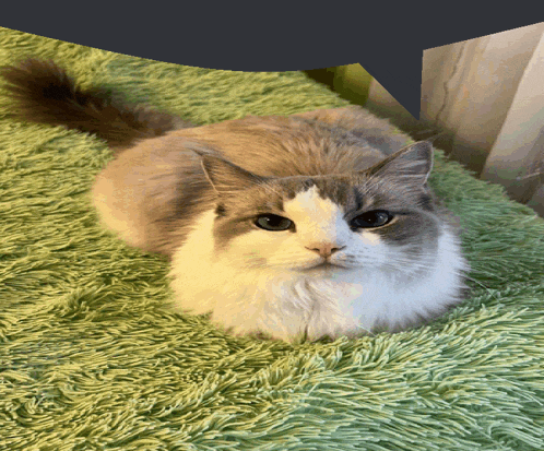 a cat laying on a green blanket with a speech bubble above it
