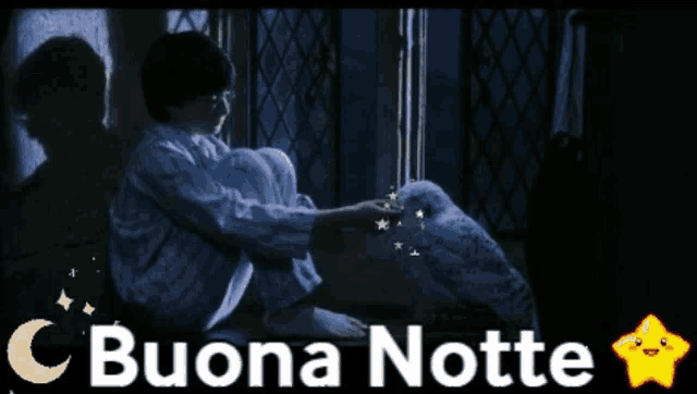 a picture of harry potter with the words buona notte in the corner
