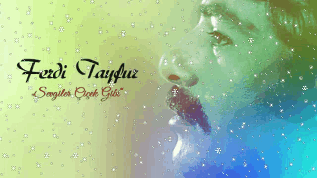 a picture of a man 's face with the name ferdi tayfur on it