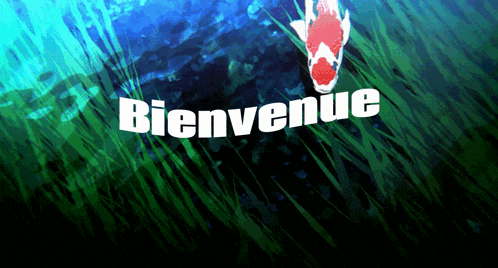 the word bienvenue is on a green background with a fish
