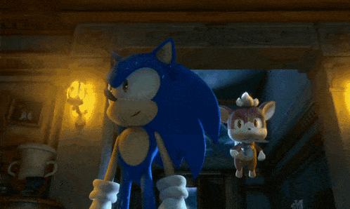 sonic the hedgehog is standing next to a stuffed animal that looks like a raccoon