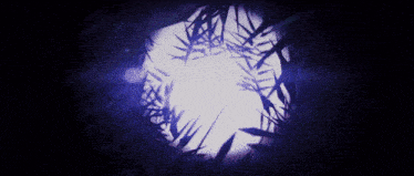 the sun is shining through the leaves of a tree