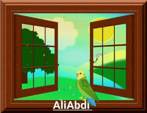 Bird Window GIF - Bird Window GIFs