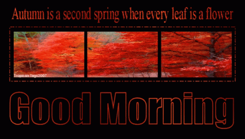 Good Morning Autumn Is Second Spring GIF - Good Morning Autumn Is Second Spring When Leaf Is A Flower GIFs