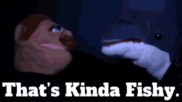 a puppet and a dolphin with the words that 's kinda fishy
