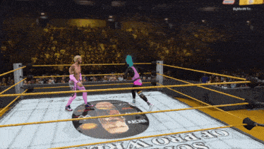 two wrestlers in a wrestling ring with a sign that says pro wrestling on it