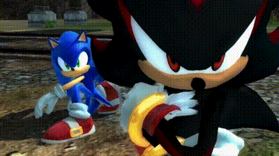 sonic the hedgehog and shadow the hedgehog in a video game