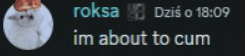 a blurred image of a cat with the words roksa and dzis o 18:09 im about to cum below it