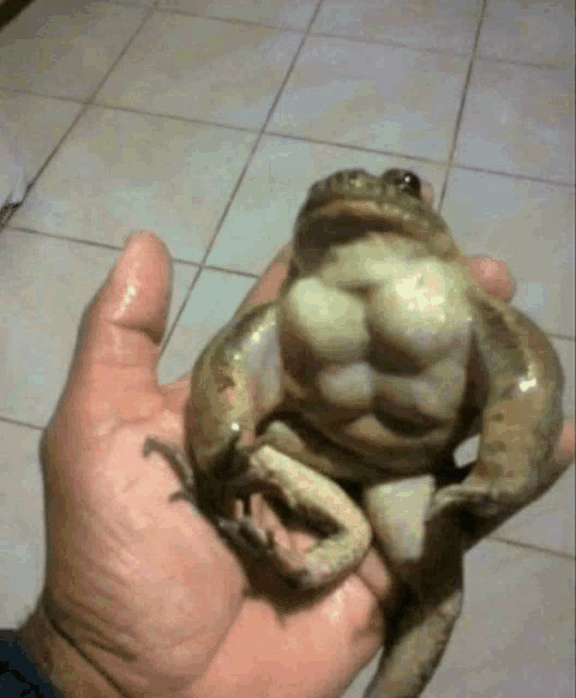 a person is holding a large frog with muscles on its body