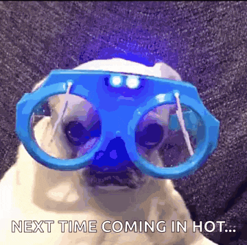 a pug dog wearing a pair of blue glasses with the words next time coming in hot below it