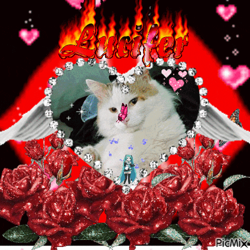 a picture of a cat surrounded by red roses with the word lucifer in the background