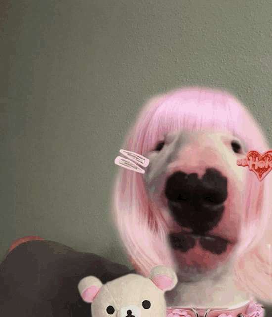 a dog wearing a pink wig is holding a stuffed animal