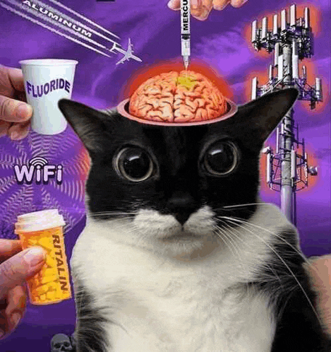 a black and white cat with a brain in its head and a bottle of ritalin .