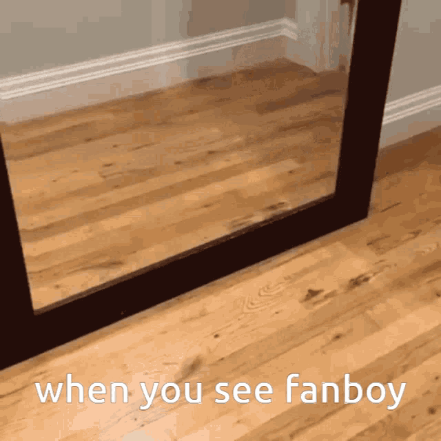 Dog Scarred Looking In Mirror GIF - Dog Scarred Looking In Mirror GIFs
