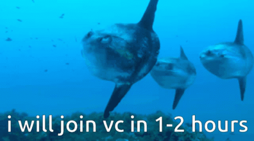 Sunfish Vc GIF - Sunfish Fish Vc GIFs