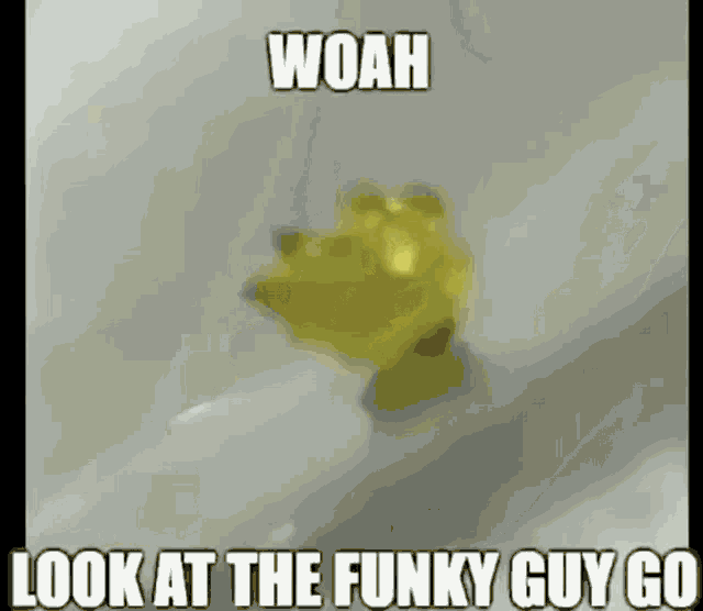 a yellow rubber duck is sitting in a bathtub with a caption that says `` woah look at the funky guy go ''