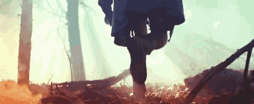 a person is walking through a forest with leaves on the ground .