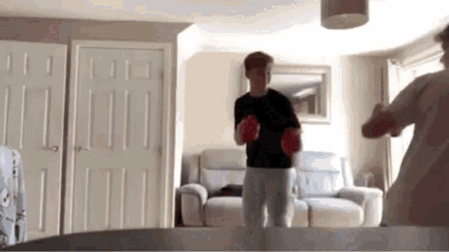 a man is boxing in a living room with a mirror .