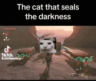 a cat that seals the darkness is featured in a video game