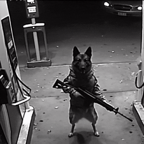 a black and white photo of a dog holding a gun in front of a gas pump