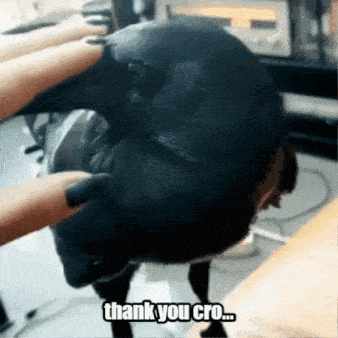 a person petting a black bird with the words thank you cro written below it