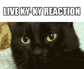 a black cat is sitting on a bed and looking at the camera with the words `` live ky-ky reaction '' above it .