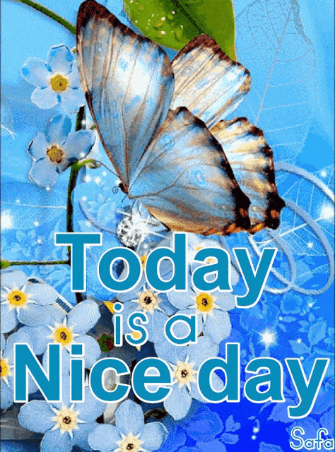 a butterfly is sitting on a flower with the words today is a nice day