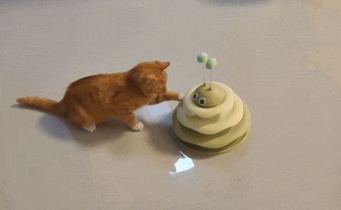 a cat is playing with a toy that looks like a snail