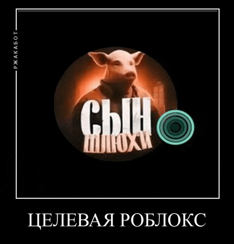 a picture of a pig in a circle with the word son in white letters .