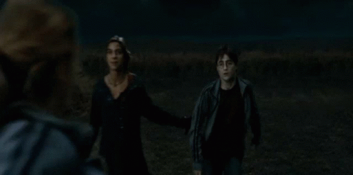 Hermione Granger Harry Potter GIF - Hermione Granger Harry Potter Ron Weasley GIFs