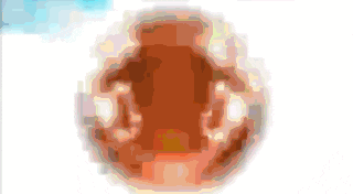 a blurred image of a donut on a white background .