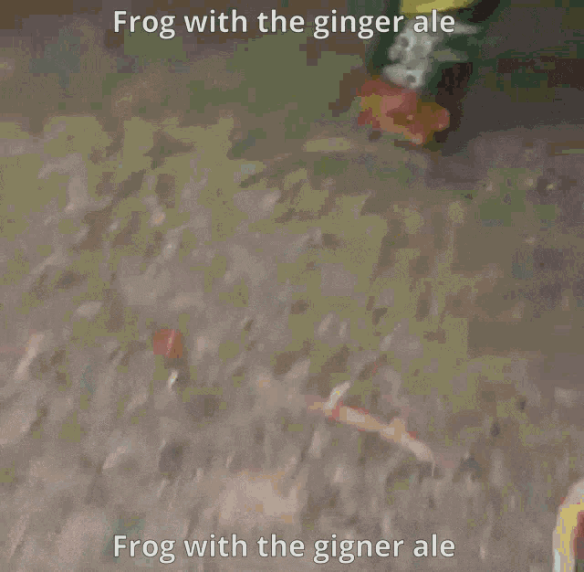 Ginger Ale GIF
