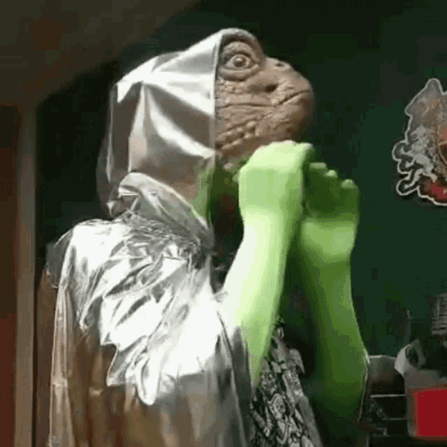 a person is wearing a costume of a lizard with a hood and green gloves .