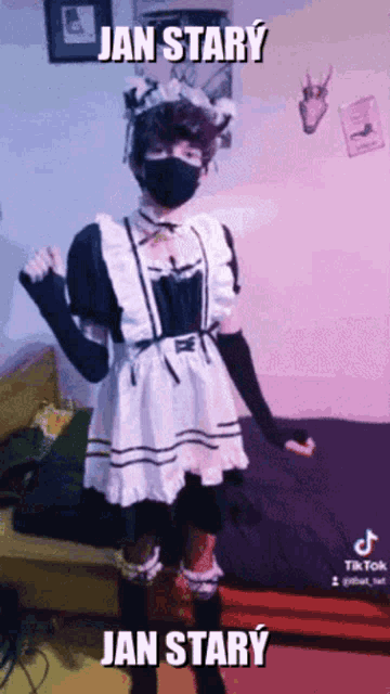 a person wearing a maid costume and a mask with the words jan stary on the bottom
