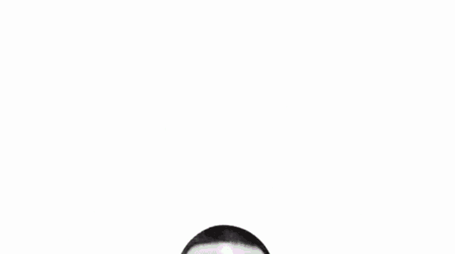 a man with a beard and a green shirt is standing in front of a white background and looking at the camera .