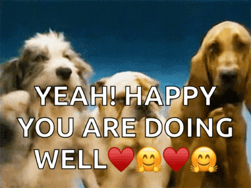 Dogs Puppy GIF - Dogs Dog Puppy GIFs