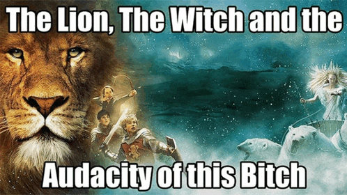 the lion the witch and the audacity of this bitch poster