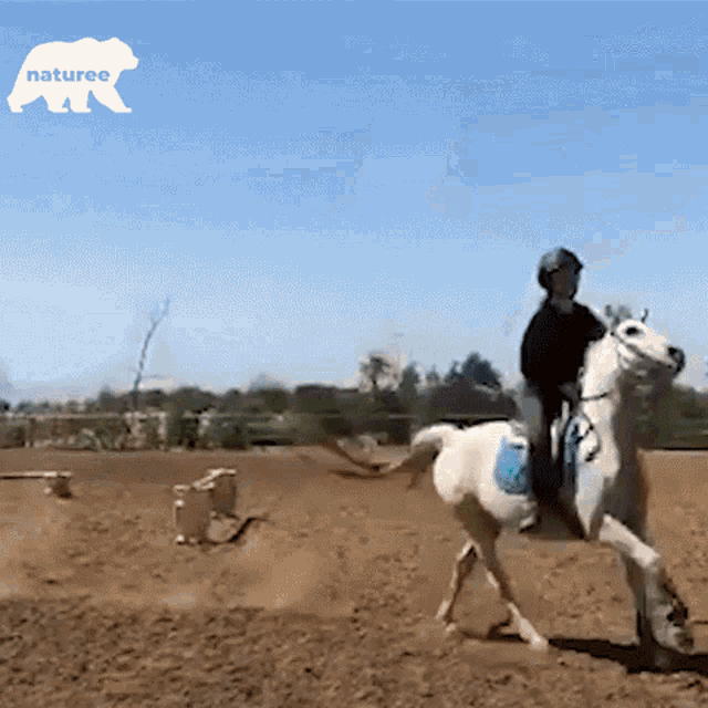 Horseback Riding Horse GIF - Horseback Riding Horse Riding GIFs