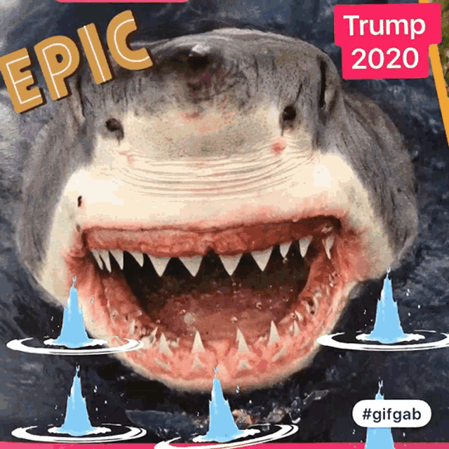 Vote For President Trump 2020 GIF - Vote For President Trump 2020 Epic GIFs